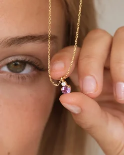 Collar Birthstone Febrero - Amatista