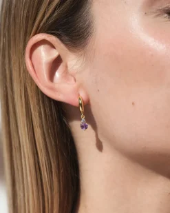 Pendientes Birthstone Febrero - Amatista
