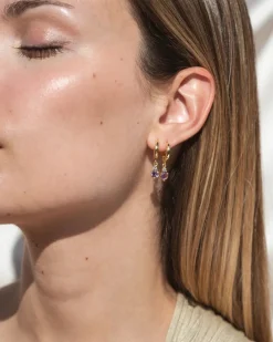 Pendientes Birthstone Febrero - Amatista