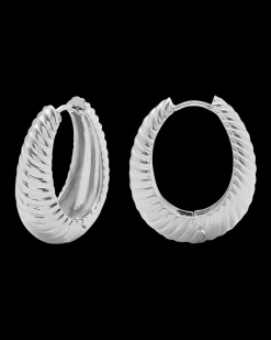 Silver Hoop Earrings Wild