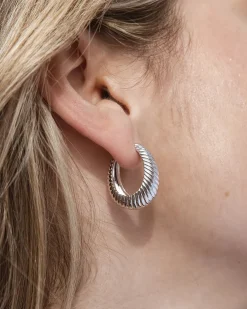 Silver Hoop Earrings Wild